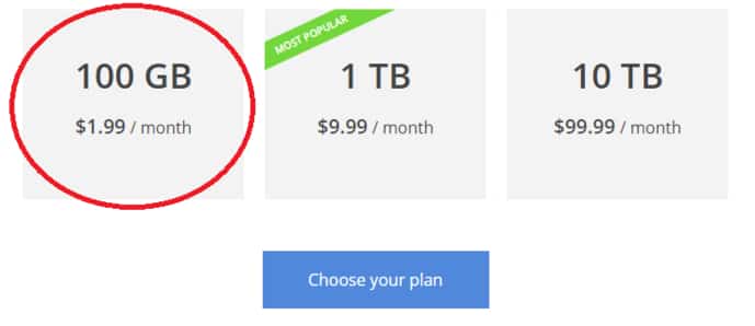 Google One month membership plan