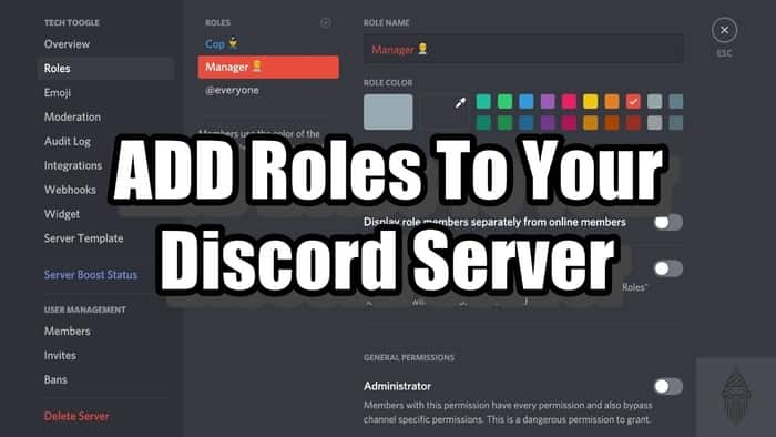 Discord Role Ideas