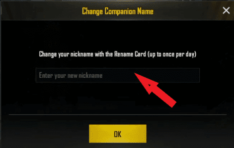 How to Rename PUBG Names for Boys 2021